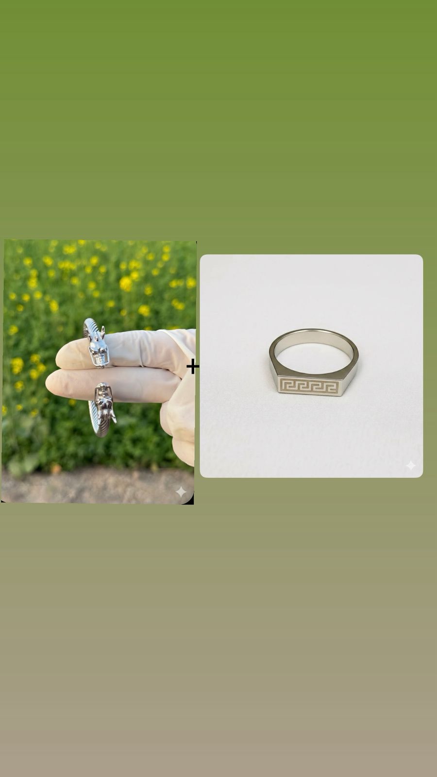 DRAGON S + RING